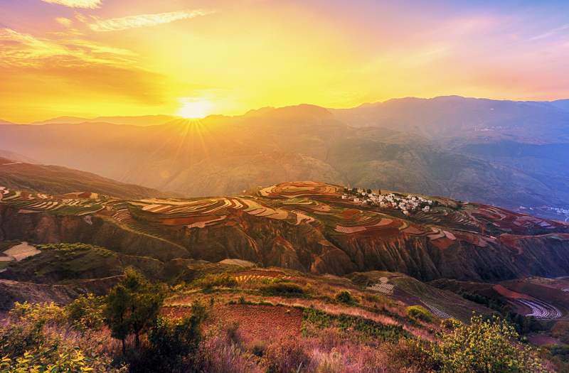 生(shēng)産基地