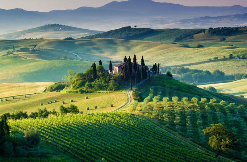 生(shēng)産基地